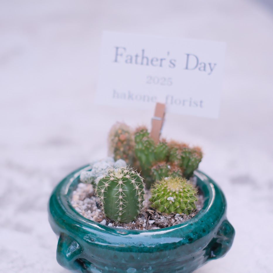Father’sミニサボテン寄せ植え(チュニジアンポット)