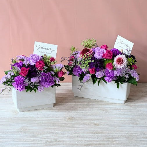 ムーンダストスクエアS