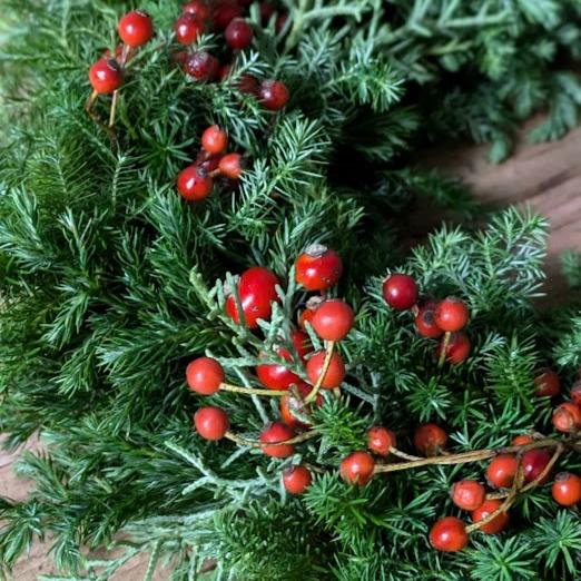 クリスマスフレッシュリースM【レッドベリー】