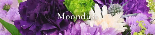 ムーンダスト（青いカーネーション）とは？世界初の青い花の魅力と花言葉