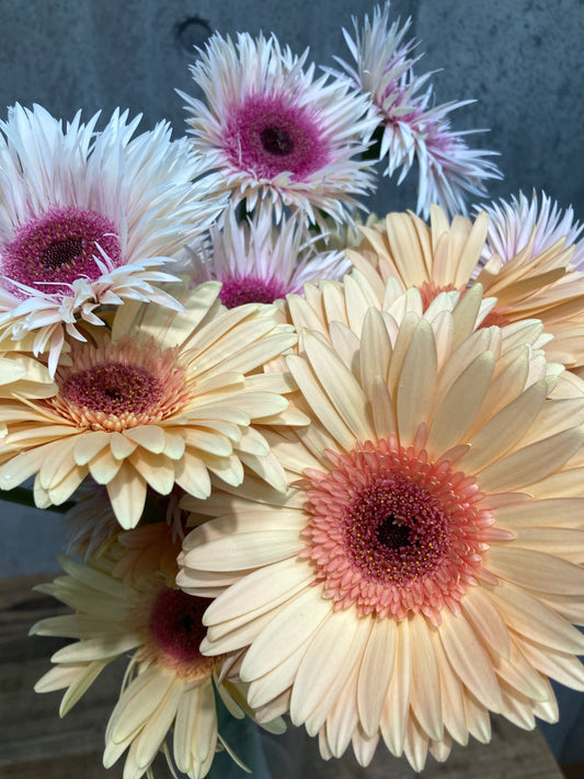 【新入荷】今週のお花情報｜はこねフローリスト麹町本店