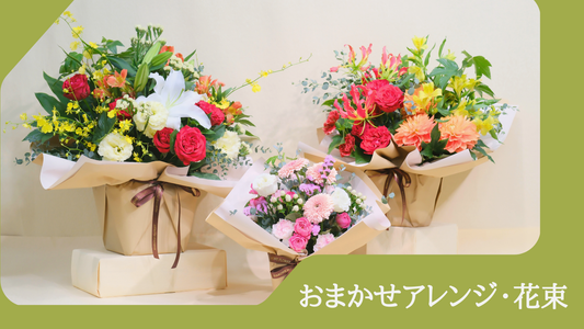 本日、オンラインショップが新しくなりました。