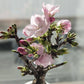 一才桜　旭山　盆栽