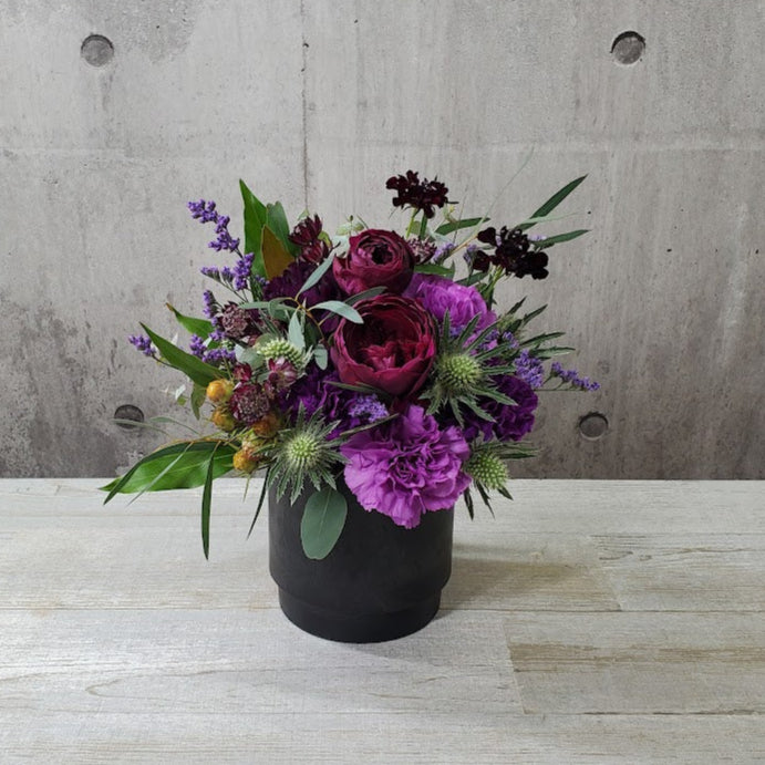 ムーンダストブラックSS