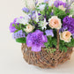 ムーンダストの花かごアレンジS｜上品なフラワーギフト
